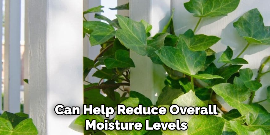 Can Help Reduce Overall Moisture Levels