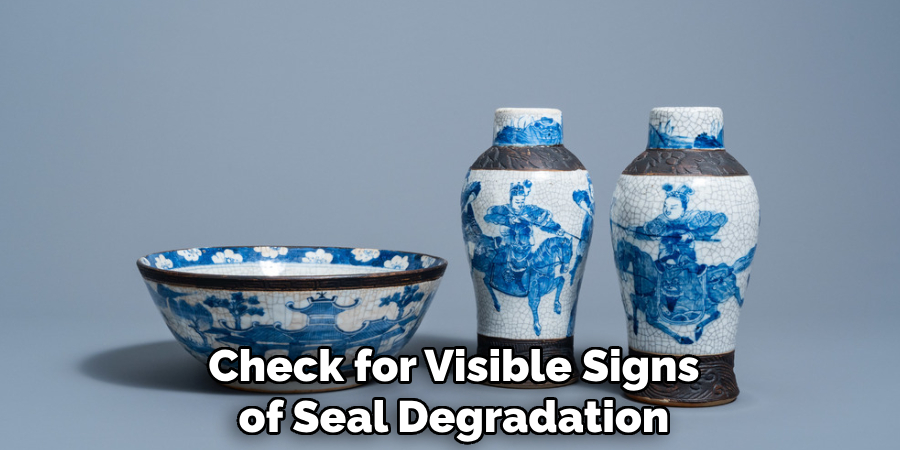 Check for Visible Signs of Seal Degradation