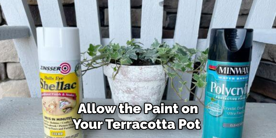 Allow the Paint on
Your Terracotta Pot