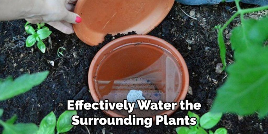 Effectively Water the
Surrounding Plants