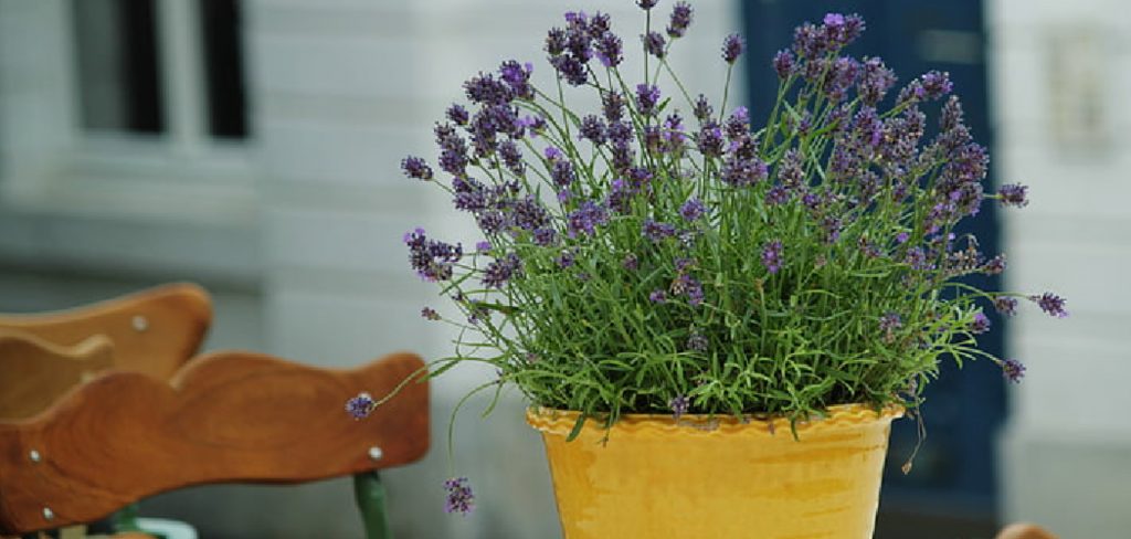 How to Decorate a Flower Pot