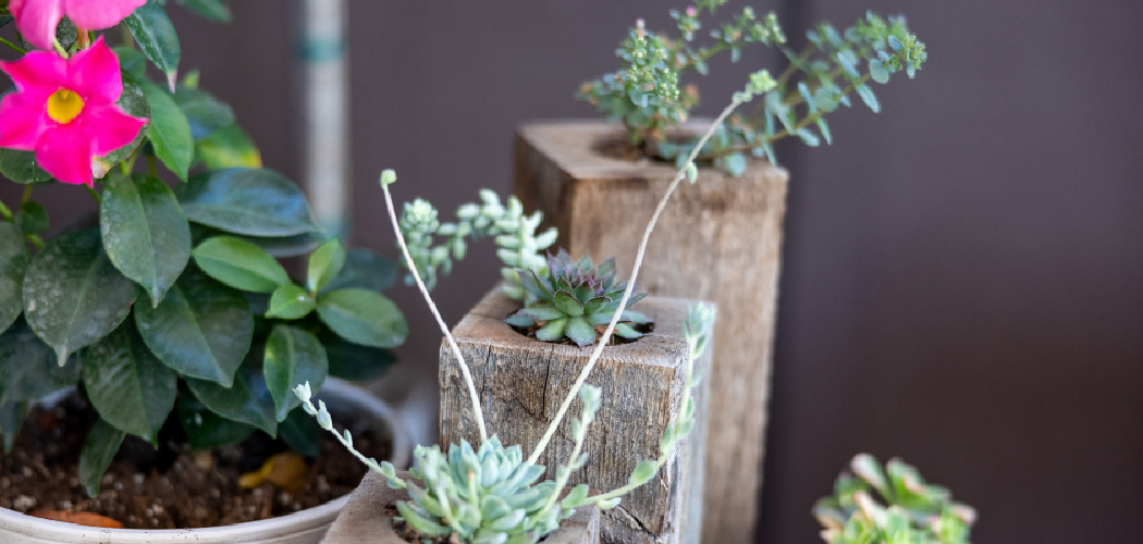 How to Make Cement Pots for Plants