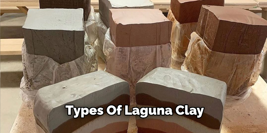 Types Of Laguna Clay