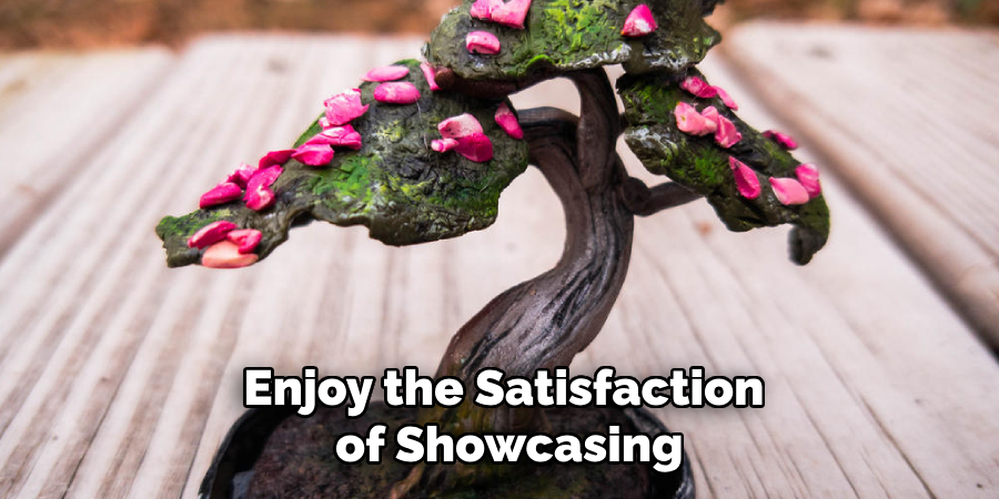 Enjoy the Satisfaction
of Showcasing