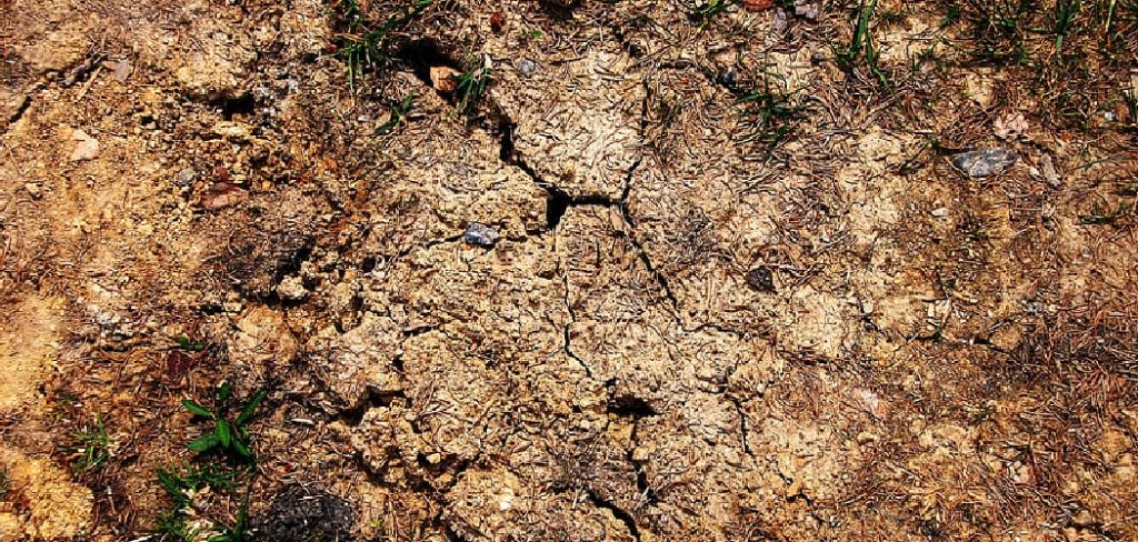 How to Fix Cracks in Clay