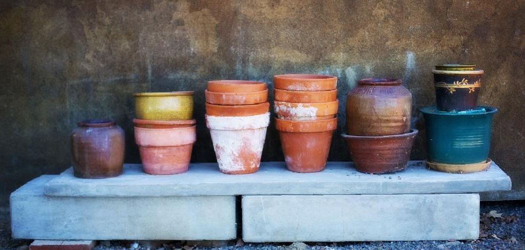 How to Tell if Ceramic or Terra Cotta Pot