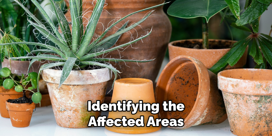 Identifying the
Affected Areas