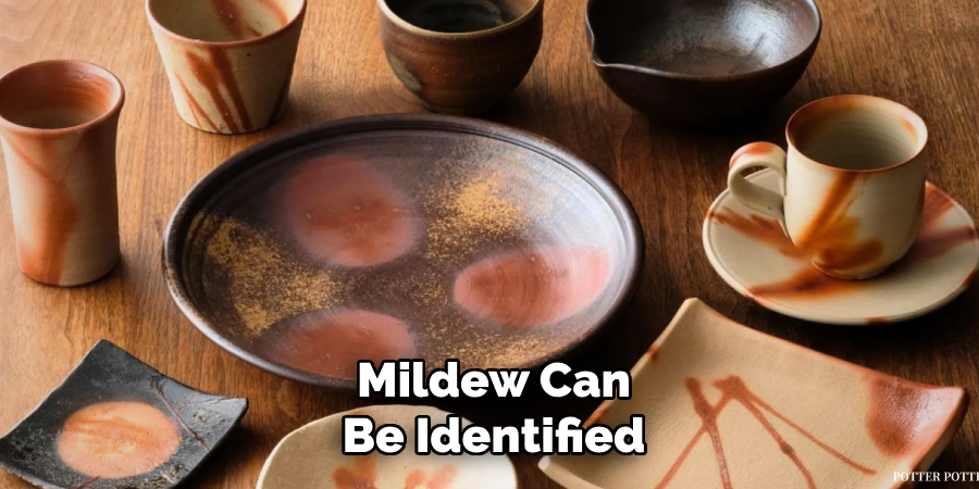 Mildew Can
Be Identified