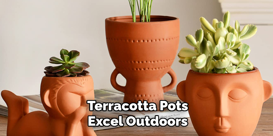 Terracotta Pots
Excel Outdoors