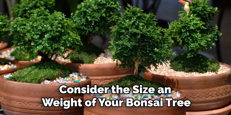 Consider the Size an
 Weight of Your Bonsai Tree