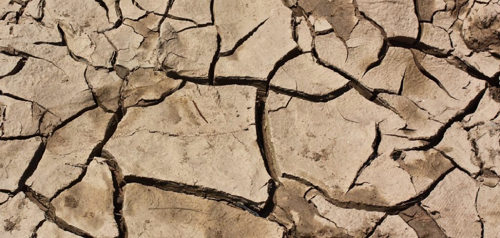 How to Fix Dry Clay