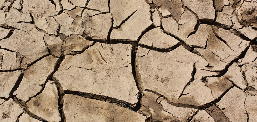 How to Fix Dry Clay