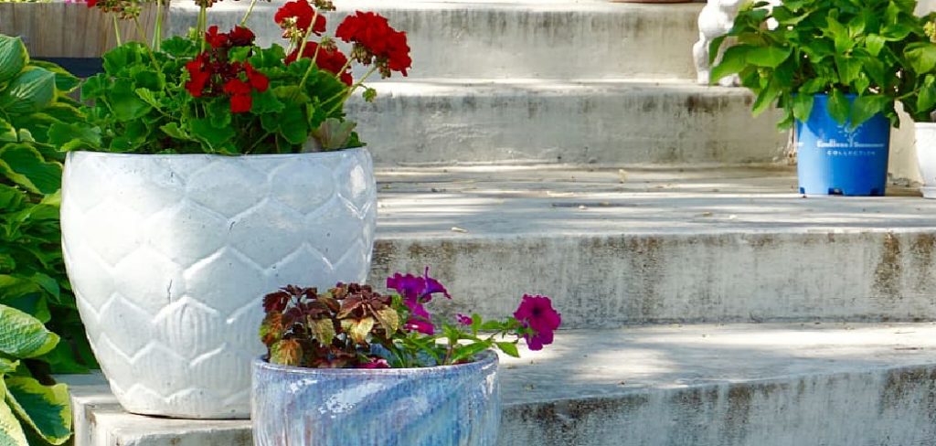 How to Paint Concrete Plant Pots