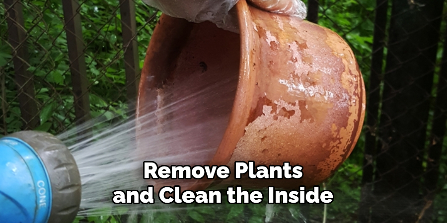 Remove Plants and Clean the Inside