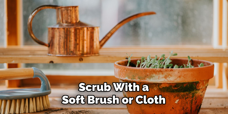 Scrub With a Soft Brush or Cloth