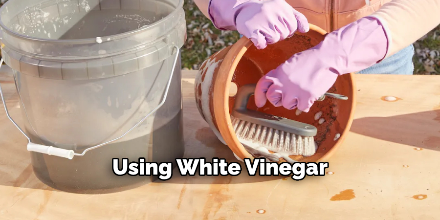 Using White Vinegar
